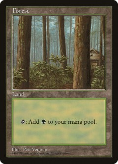 Forest Asia Pacific Land Program