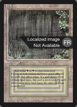 Bayou Foreign Black -Bordered