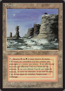 Plateau Foreign Black -Bordered
