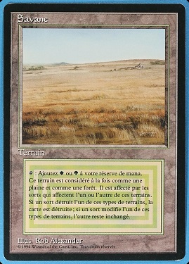 Savannah Foreign Black -Bordered