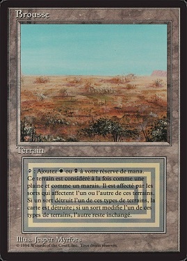 Scrubland Foreign Black -Bordered