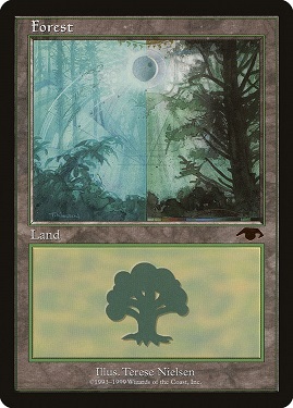 Forest Guru