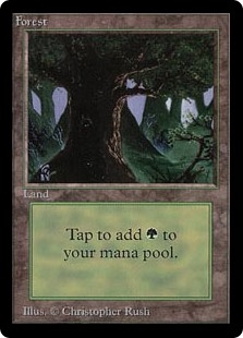 Forest Beta