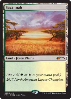 Savannah Vintage Championship